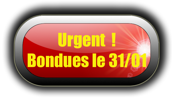 bouton Urgent copie