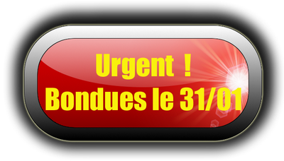 bouton Urgent copie bouton Urgent copie