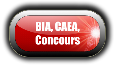 bouton_BIA-CAEA détouré.png bouton_BIA-CAEA détouré.png